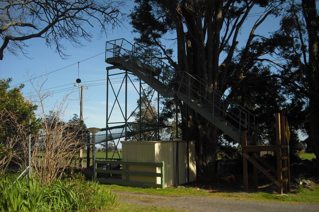 Te Aroha Holiday Park And Motels Экстерьер фото
